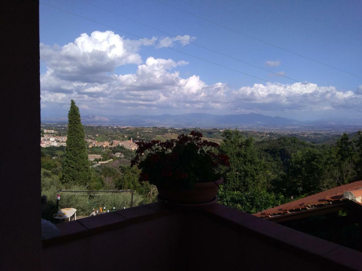 Poggio Della Roverella Country House 모를루포 외부 사진