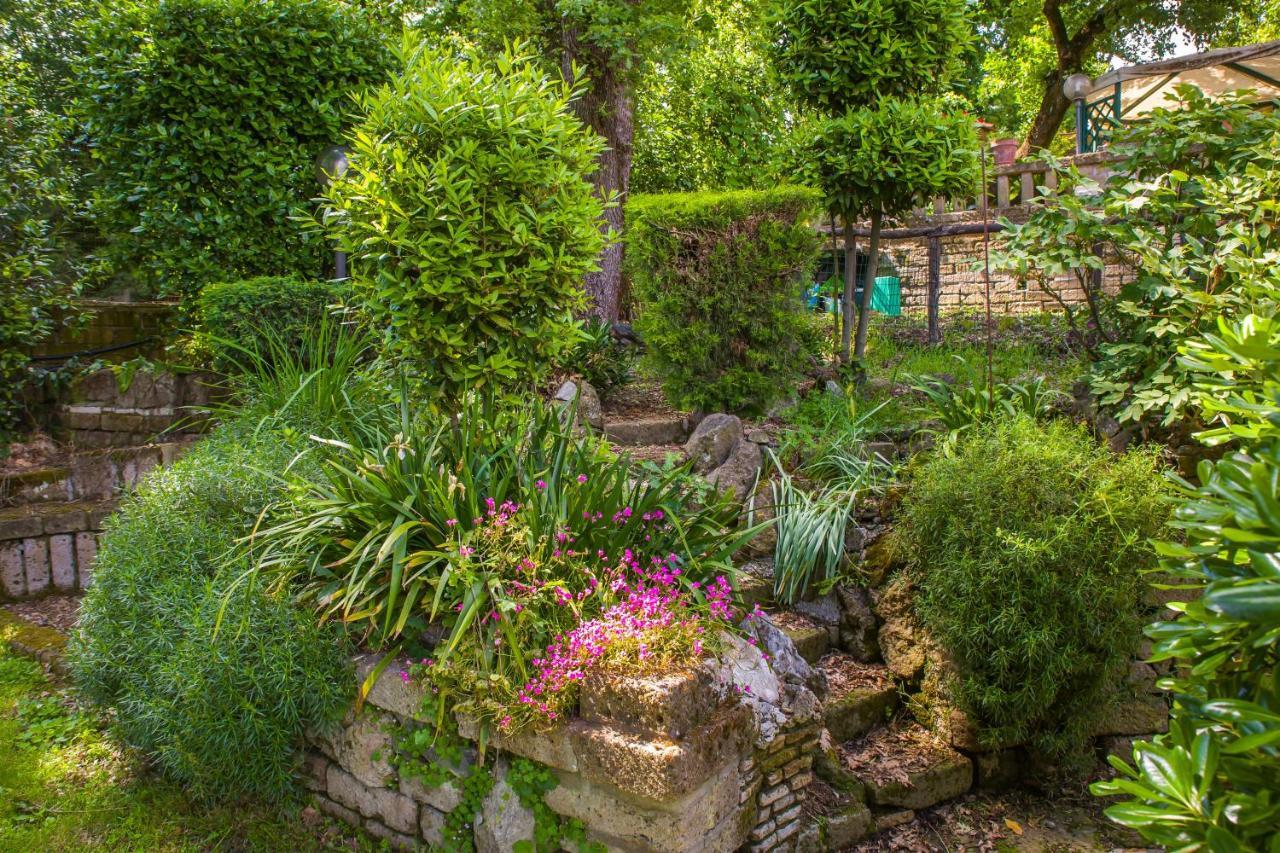 Poggio Della Roverella Country House 모를루포 외부 사진