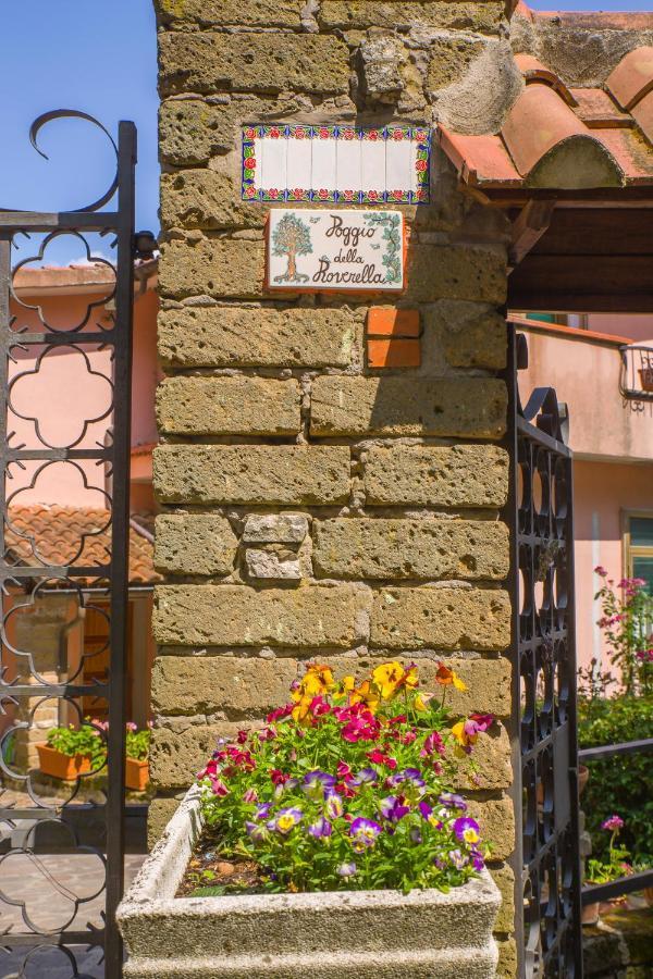 Poggio Della Roverella Country House 모를루포 외부 사진