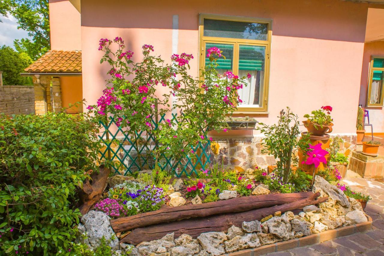 Poggio Della Roverella Country House 모를루포 외부 사진